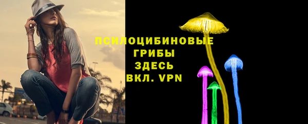 молекула духа Абинск