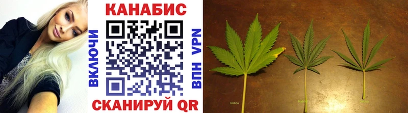 где найти   Александровск-Сахалинский  Каннабис SATIVA & INDICA 